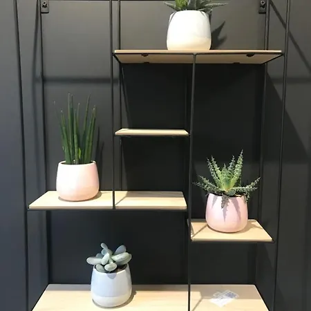 Apartment Steam Park - Spokojne Miejsce W Centrum Krakowa Krakow